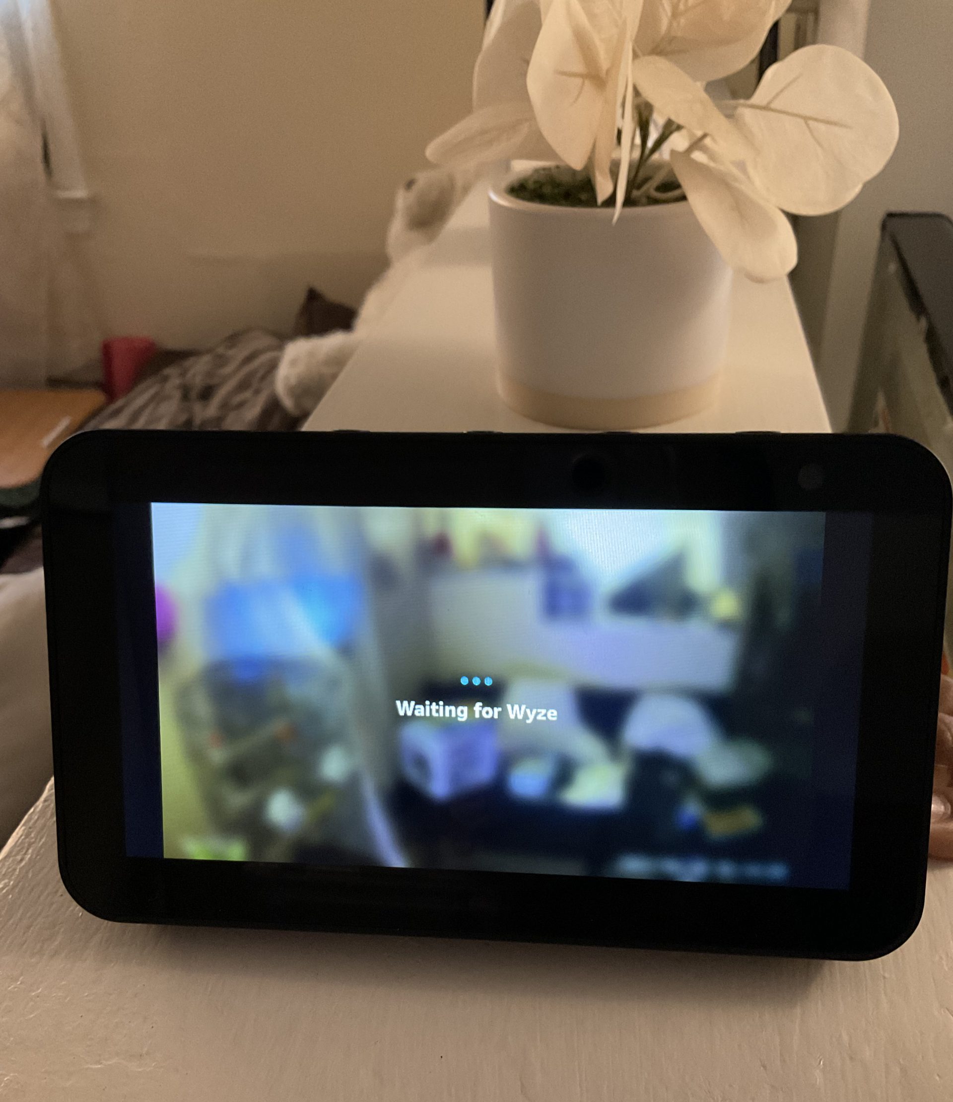 Korzyści z korzystania z Amazon Echo Show jako kamery bezpieczeństwa